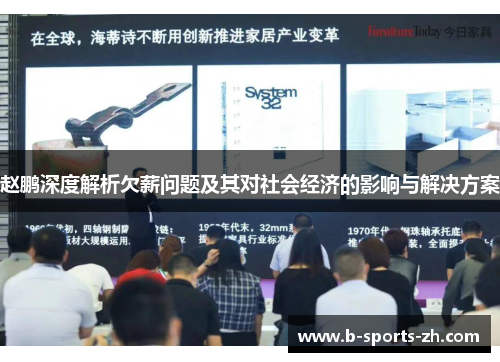 赵鹏深度解析欠薪问题及其对社会经济的影响与解决方案